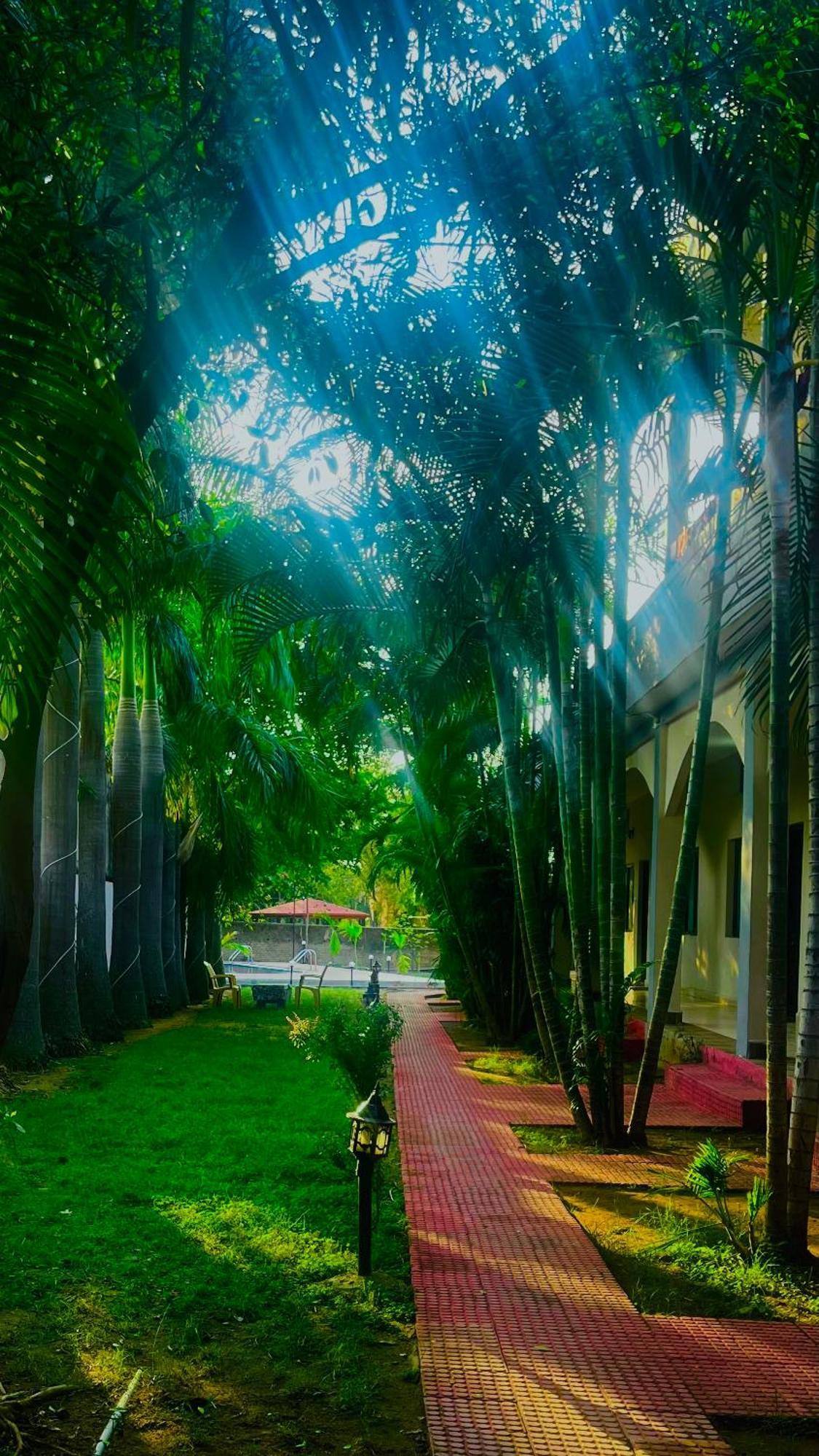 Hotel Jungle Palace Resort Umariā Exterior foto